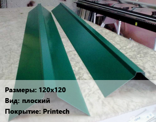 Конек кровельный 120х120 Вид:плоский Printech, м цена от 360 Тг / м, где купить, условия доставки в Костанае и Костанайской области